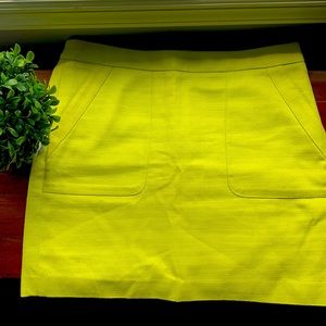 Loft Lined Mini Skirt